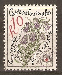 CAMPANILLA  ALPESTRE