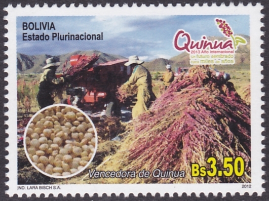 2013 Año internacional de la Quinua