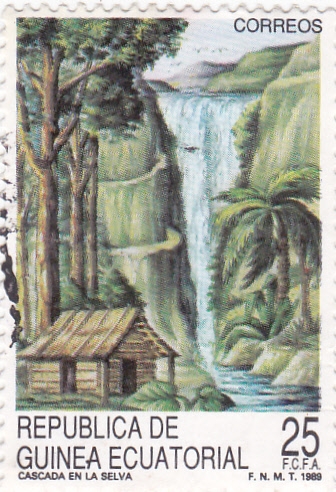 CASCADA EN LA SELVA