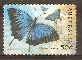 ULYSSES  BUTTERFLY