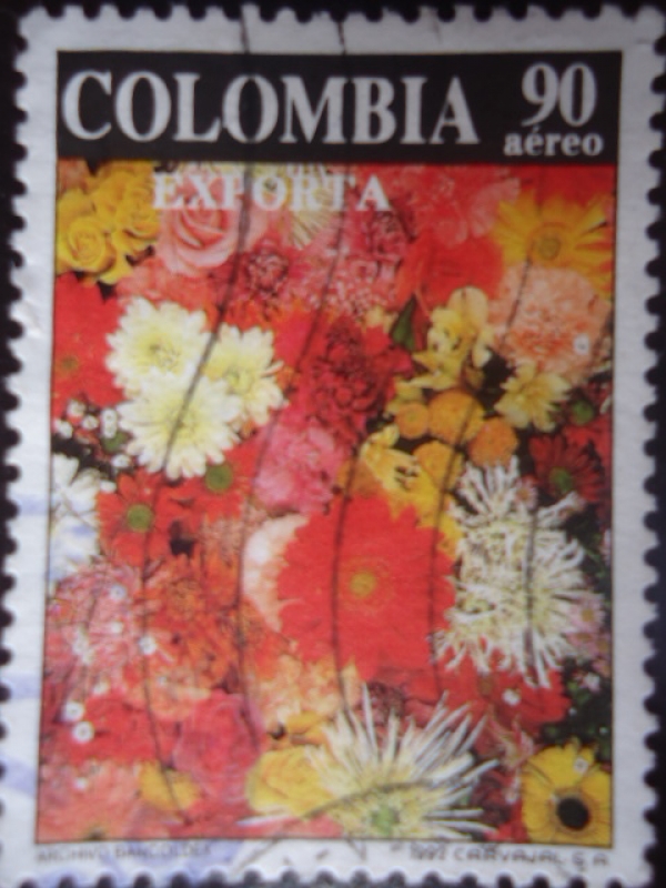 Flores - Colombia Exporta Flores (Archivo Bancoldex)