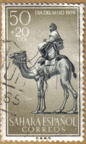 SAHARA - Beduino y Camello