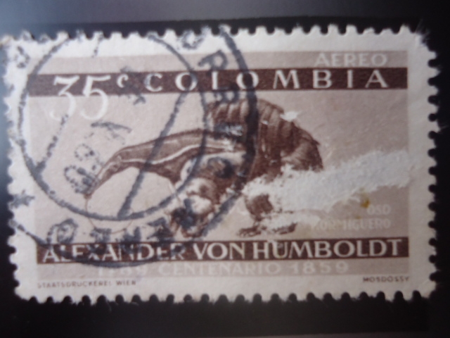 Centenario Alexander Von Humboldt-Oso Hormiguero