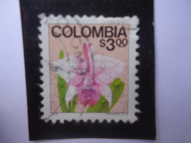 Cattleya Trianae - Orquidea Colombiana.