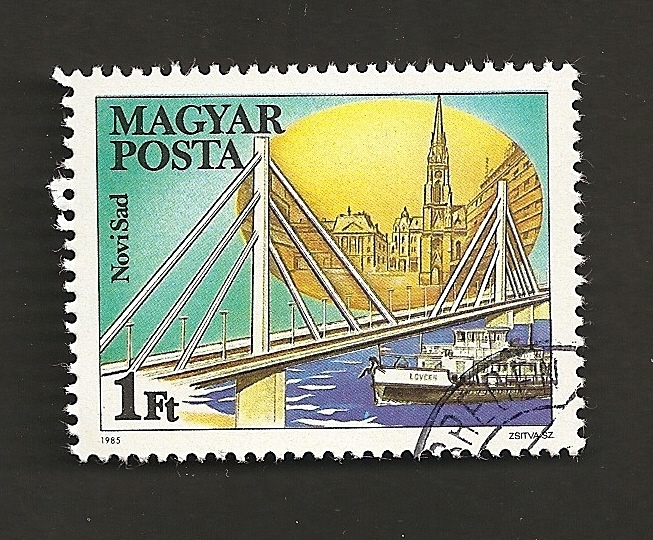 Puentes sobre Danubio, Novi Sad