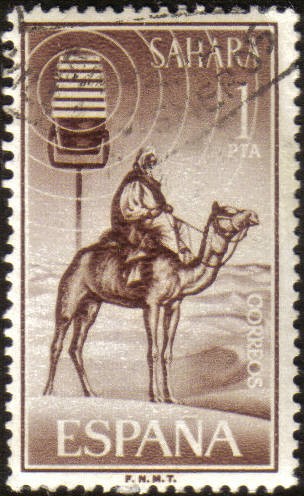 SAHARA - Camello y microfono
