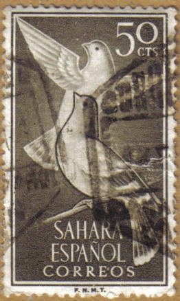 SAHARA - PALOMAS