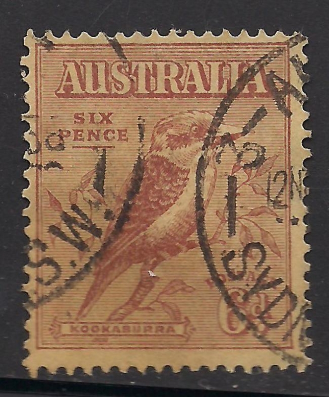 Kookaburra