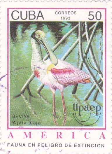 FAUNA EN PELIGRO DE EXTINCION- UPAEP