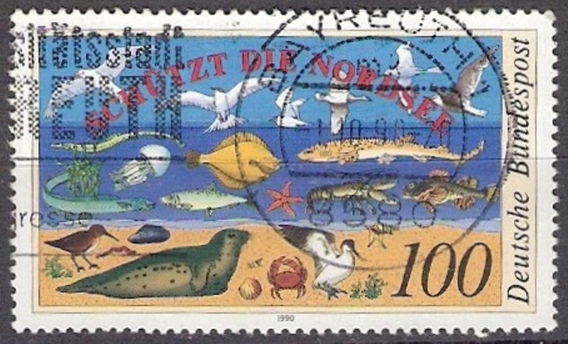 1286 - Mar del Norte