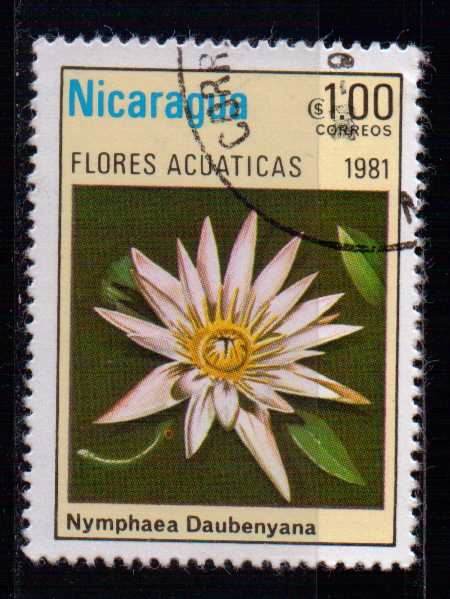 Flores acuáticas