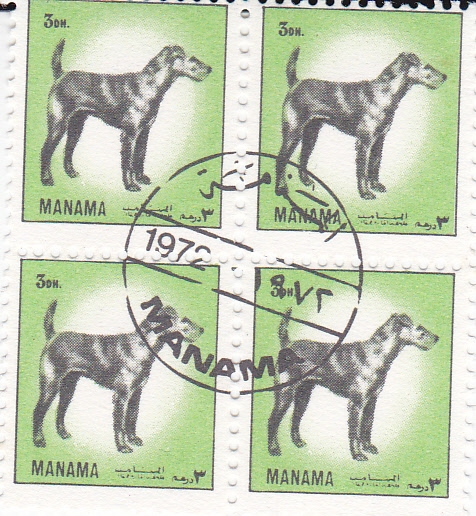 ANIMALES SALVAJES- MANAMA