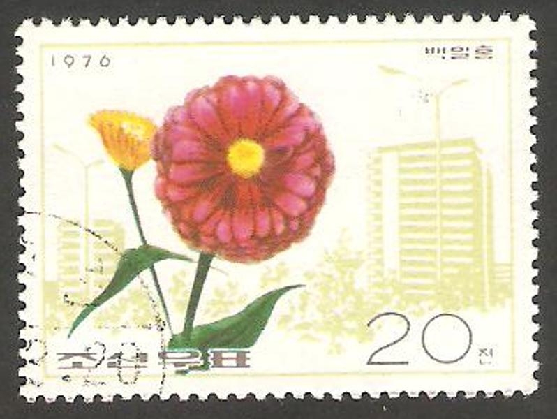 1360 - Flor