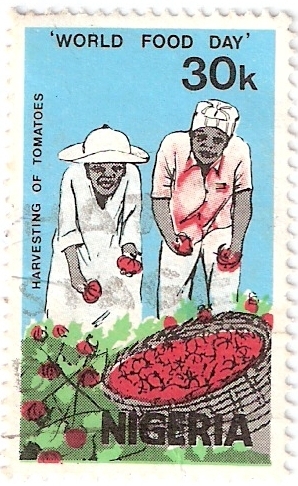 Alimentos