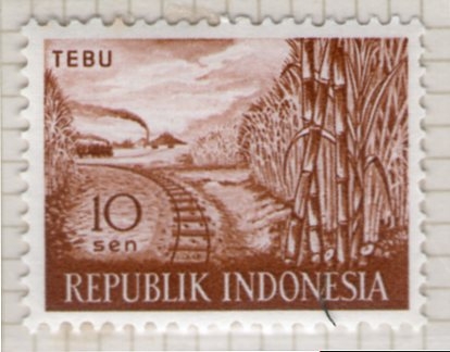 49 Tebu