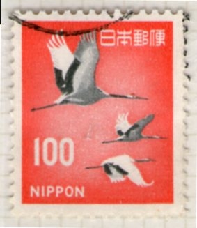 30 Fauna