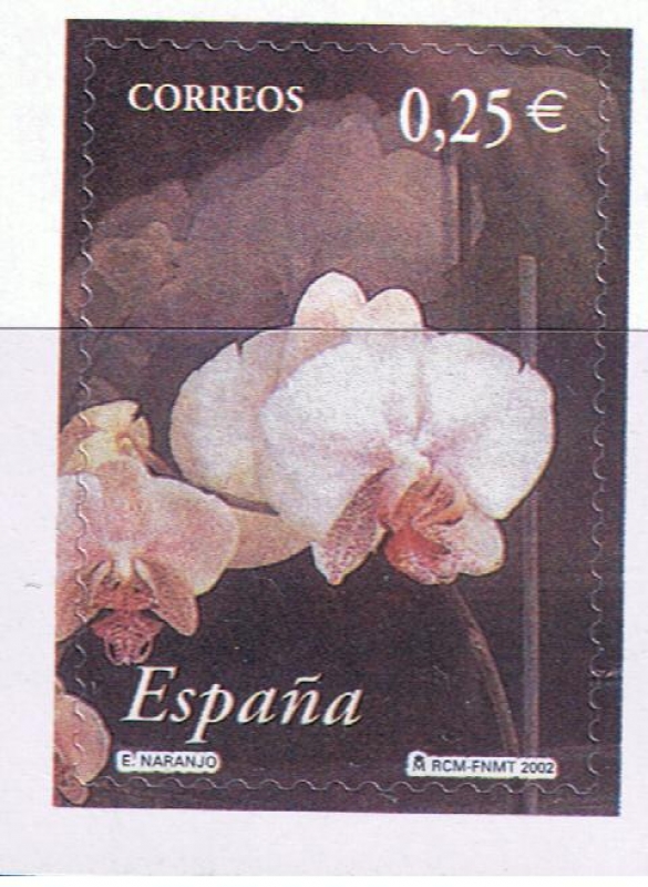 Edifil  3871  La flor y el paisaje. 