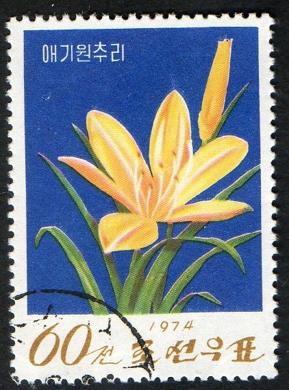 Flowers.  