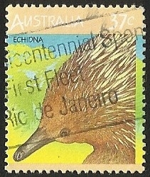 ECHIDNA