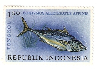 Euthymus Alleteratus Affinis