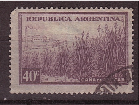 caña de azúcar