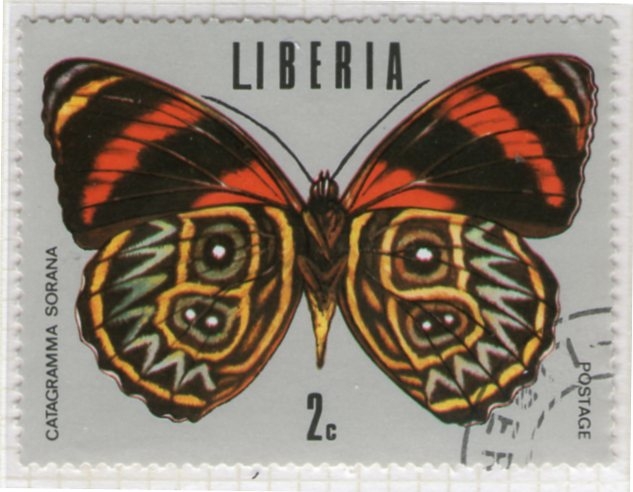 31 Catagramma Sorana