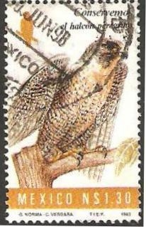 1547 - Conservemos la fauna en peligro de extinción, el halcón peregrino