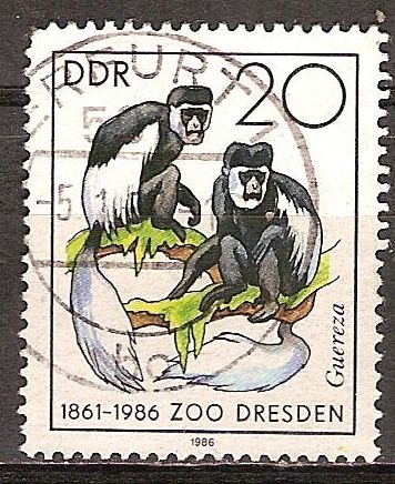 125 años del zoológico de Dresde