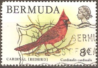 PÀJARO  CARDENAL