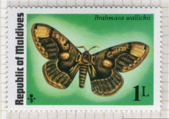 20 Flora y Fauna