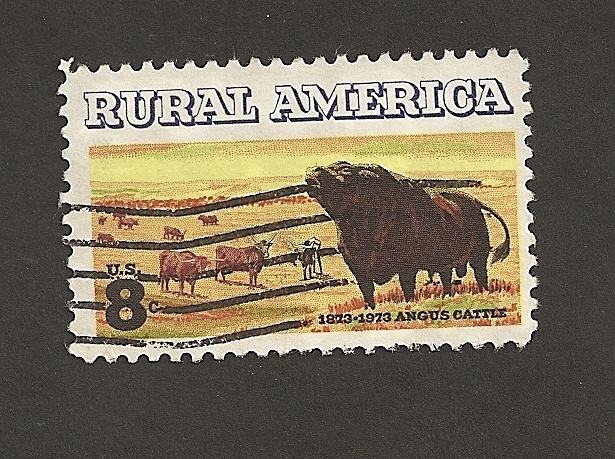 América rural