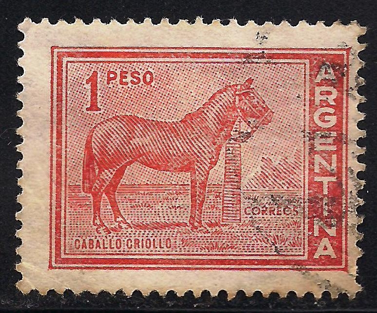 CABALLO CRIOLLO.