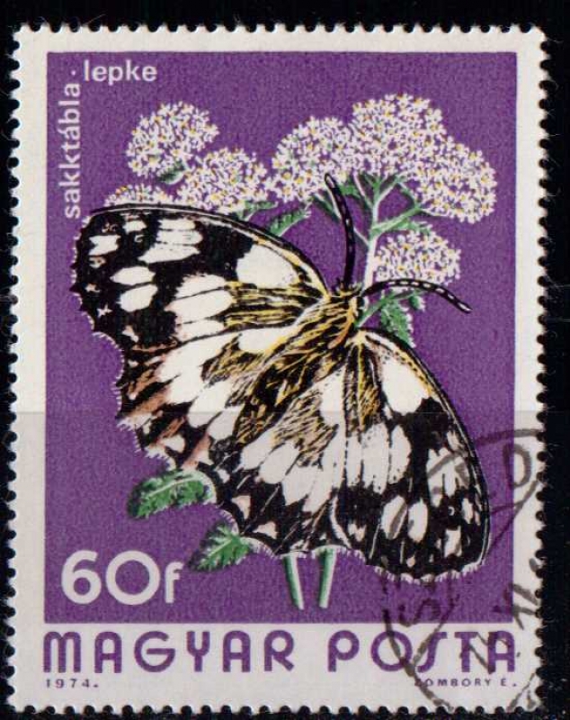 2395- Mariposas