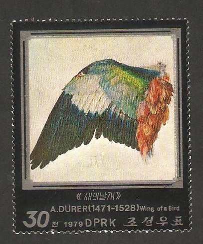  1527 - Ala de un ave, cuadro de A. Dürer