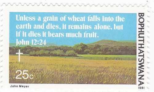 Si el grano de Trigo, no cae en tierra y muere, queda solo, pero si muere da mucho fruto .JOHN 12:24