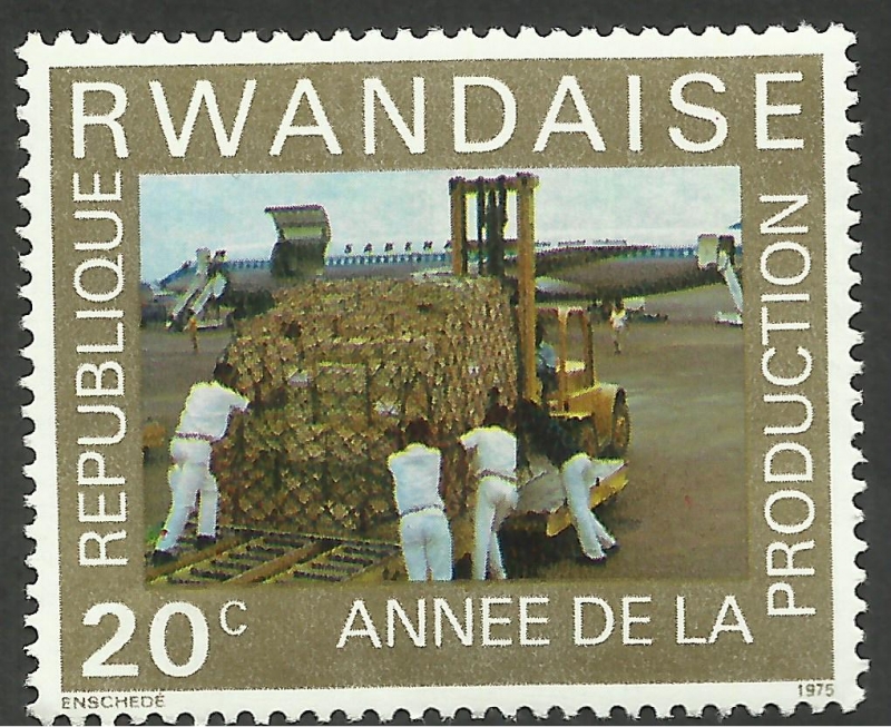 Année de la production