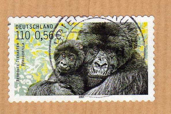 Scott 2124. Gorila de montaña.