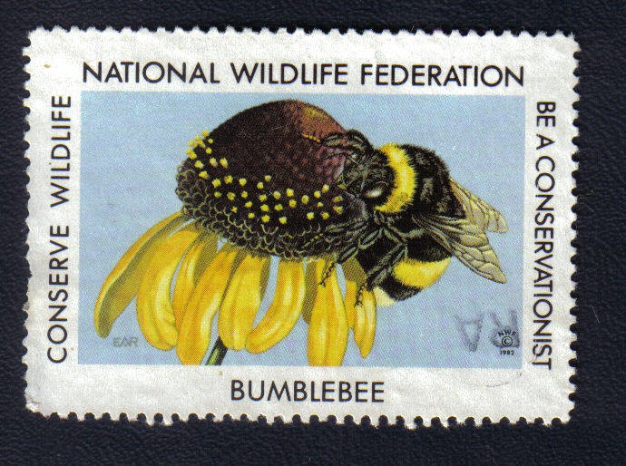 Abeja