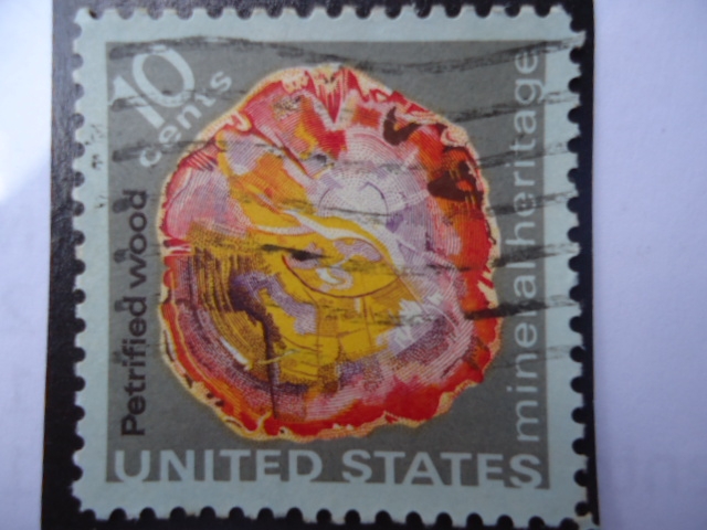 Petrified Wood- Mineral heritage.