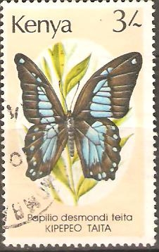 PAPILIO  DESMONDI  TEITA