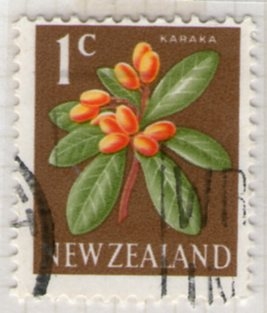 6  Karaka