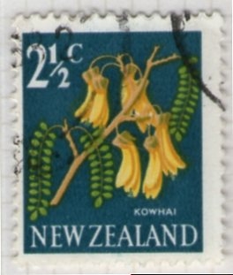 10  Kowhai