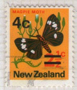 13  Magpie moth