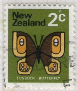 14  Tussock butterfly