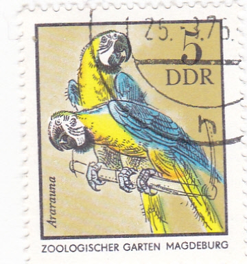 ZOOLÓGICO GARTEN MAGDEBURG