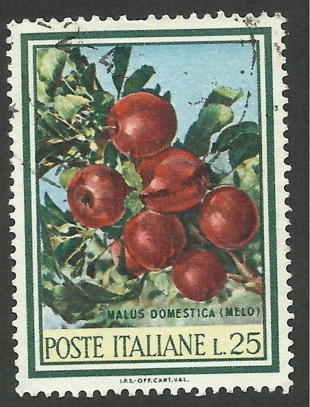 Flora