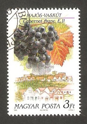 3285 - Región vinicola de Hungría, vista de la localidad y cepa, Hajos y Cabernet Franc