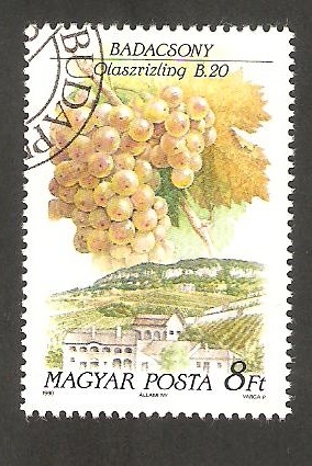 3287 - Región vinicola de Hungría, vista de la localidad y cepa, Badacsony et Riesling italien