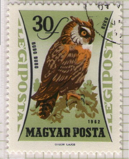 74 Bubo bubo