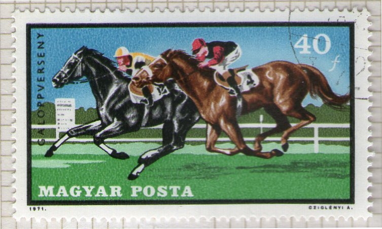 296 Carreras de caballos